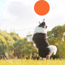 Load image into Gallery viewer, Outdoor Durable Rubber Dog Frisbee Interactive Toy
