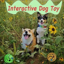 Load image into Gallery viewer, PawBabe Interactive Dog Toy Squeaky Balls Wobble Wag Giggle Ball With Holes Puppy Teething Toys Active Rolling Ball For All Dogs