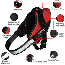 Load image into Gallery viewer, PawBabe Fashionable Nylon Personalised Dog Harness with Name