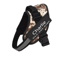 Load image into Gallery viewer, PawBabe Fashionable Nylon Personalised Dog Harness with Name