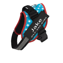 Load image into Gallery viewer, PawBabe Fashionable Nylon Personalised Dog Harness with Name
