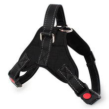 Load image into Gallery viewer, PawBabe No Pull Dog Harness