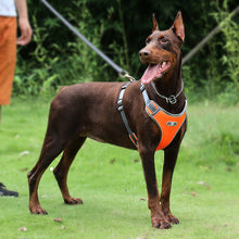 Load image into Gallery viewer, Breathable Mesh Dog Vest Harness