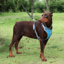 Load image into Gallery viewer, Breathable Mesh Dog Vest Harness