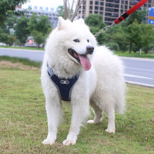 Load image into Gallery viewer, Breathable Mesh Dog Vest Harness
