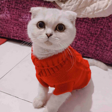Load image into Gallery viewer, Solid Dog Sweater