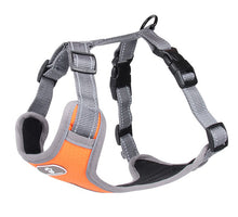 Load image into Gallery viewer, Breathable Mesh Dog Vest Harness