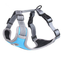 Load image into Gallery viewer, Breathable Mesh Dog Vest Harness