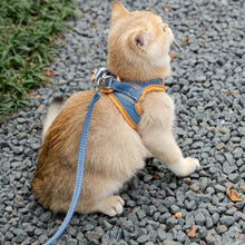 Load image into Gallery viewer, PawBabe Puppy Harness and Lead Set Step in Dog Vest Harness with Handle for Small Dogs Escape Proof Dog Harness