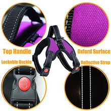 Load image into Gallery viewer, PawBabe No Pull Dog Harness