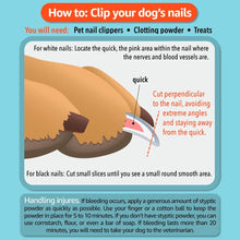 Load image into Gallery viewer, Dog Nail Clippers