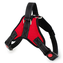 Load image into Gallery viewer, PawBabe No Pull Dog Harness