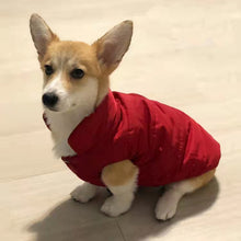 Load image into Gallery viewer, Thicken Warm Dog Coat