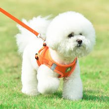 Load image into Gallery viewer, Soft Mesh Dog Harness and Leash Set