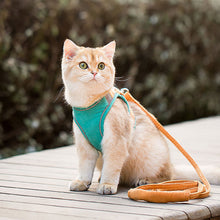 Load image into Gallery viewer, PawBabe Puppy Harness and Lead Set Step in Dog Vest Harness with Handle for Small Dogs Escape Proof Dog Harness