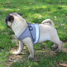 Load image into Gallery viewer, Reflective Dog Vest Harness Breathable Mesh