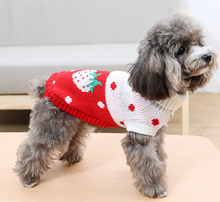 Load image into Gallery viewer, Cartoon Patterned Dog Sweater