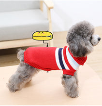Load image into Gallery viewer, Cartoon Patterned Dog Sweater