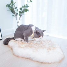 Load image into Gallery viewer, Faux Fur Orthopedic Dog Bed