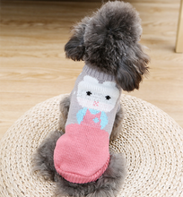 Load image into Gallery viewer, Cartoon Patterned Dog Sweater