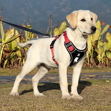 Load image into Gallery viewer, No Pull Reflective Dog Harness for Large Dogs