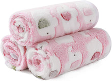 Load image into Gallery viewer, 1 Pack 3 Pet Dog Blankets