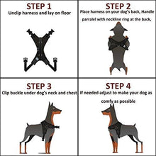 Load image into Gallery viewer, PawBabe No Pull Dog Harness