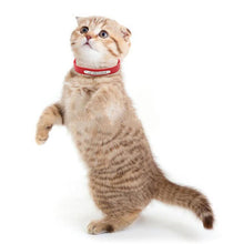 Load image into Gallery viewer, Customizable Genuine Leather Dog Collars For Small Pets