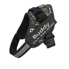 Load image into Gallery viewer, PawBabe Fashionable Nylon Personalised Dog Harness with Name