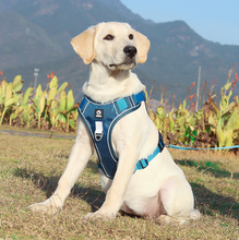 Load image into Gallery viewer, No Pull Reflective Dog Harness for Large Dogs