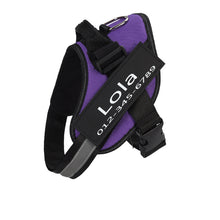 Load image into Gallery viewer, PawBabe Fashionable Nylon Personalised Dog Harness with Name