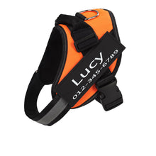 Load image into Gallery viewer, PawBabe Fashionable Nylon Personalised Dog Harness with Name