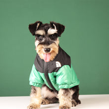 Load image into Gallery viewer, Winter Pet Dog Down Jacket