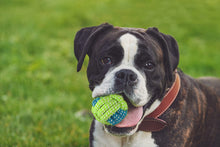 Load image into Gallery viewer, Dog Rope Toys