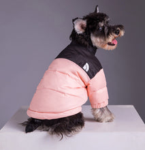 Load image into Gallery viewer, Winter Pet Dog Down Jacket