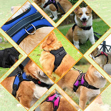 Load image into Gallery viewer, PawBabe No Pull Dog Harness