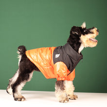 Load image into Gallery viewer, Winter Pet Dog Down Jacket