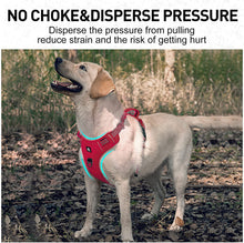 Load image into Gallery viewer, No Pull Dog Harness with 2 Metal Leash Clips