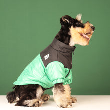 Load image into Gallery viewer, Winter Pet Dog Down Jacket