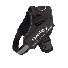 Load image into Gallery viewer, PawBabe Fashionable Nylon Personalised Dog Harness with Name