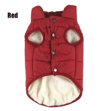 Load image into Gallery viewer, Thicken Warm Dog Coat