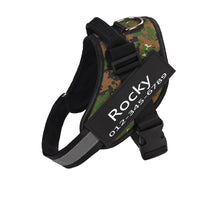 Load image into Gallery viewer, PawBabe Fashionable Nylon Personalised Dog Harness with Name