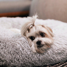 Load image into Gallery viewer, Calming Dog Bed™ Australia with Removable Cover