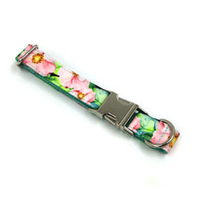 Load image into Gallery viewer, Personalized Dog Collars