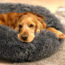 Load image into Gallery viewer, Calming Dog Bed™ Australia with Removable Cover