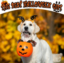 Load image into Gallery viewer, Durable Dog Chew Toys for Aggressive Chewer