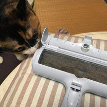 Load image into Gallery viewer, Pet Hair Remover
