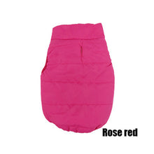 Load image into Gallery viewer, Thicken Warm Dog Coat