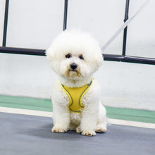 Load image into Gallery viewer, Breathable Mesh Step in Dog Harness