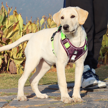 Load image into Gallery viewer, No Pull Reflective Dog Harness for Large Dogs